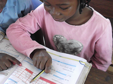 Cultural liaison and quality assurance for international evaluation