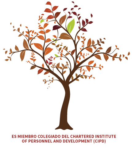 international education consultancy