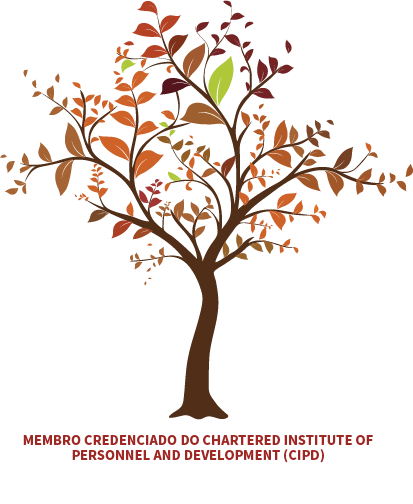 international education consultancy